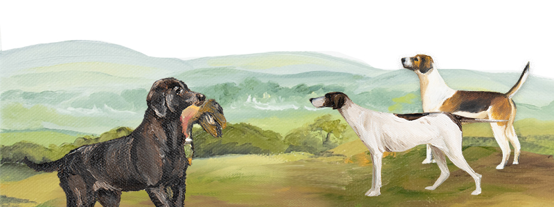 Nørding Hunter Blends